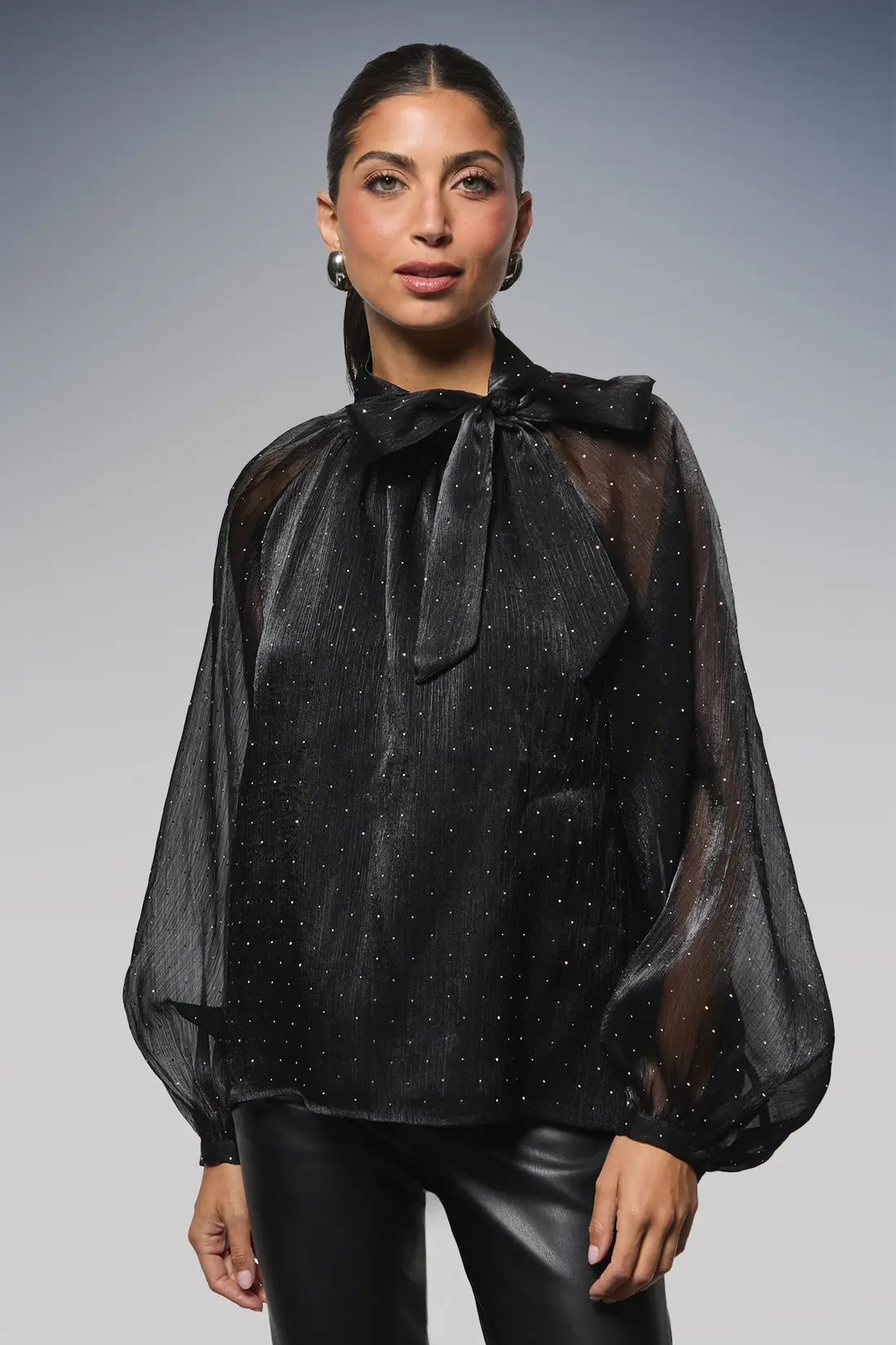 Hotfix Organza Tie Neck Blouse