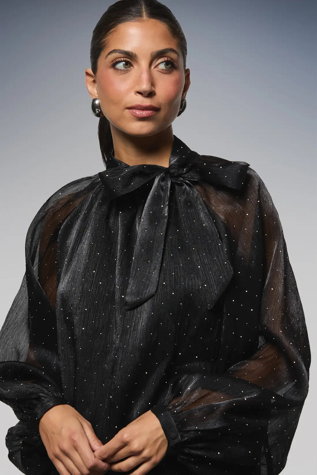 Hotfix Organza Tie Neck Blouse